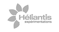 heliantis